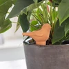 Madár alakú terrakotta vízadagoló, növénycsepegtető