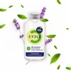Cycle általános felülettisztító koncentrátum - 50 ml - Levendula és menta
