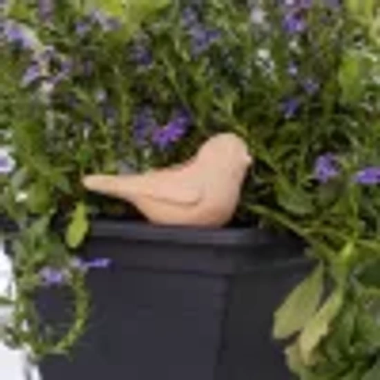 Madár alakú terrakotta vízadagoló, növénycsepegtető