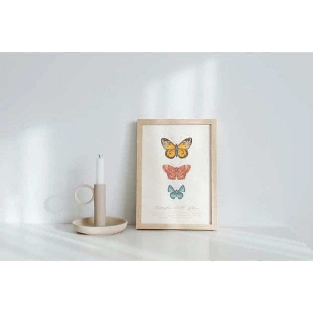 Botanikai illusztráció - Pillangók A4